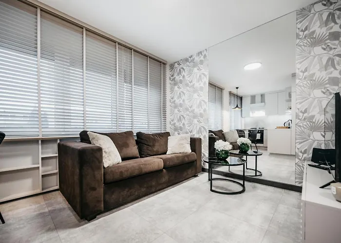 Nocosfera Premium Gornoslaski